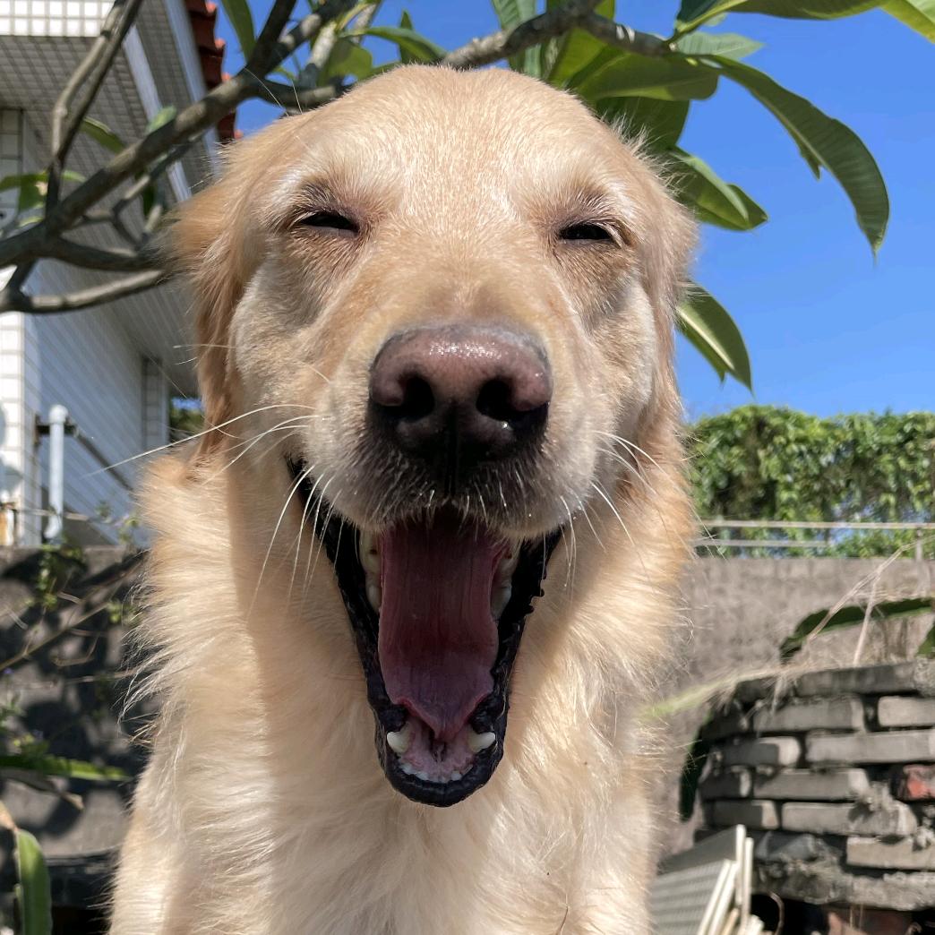 🌈🌈嘻嘻来啦🌈🌈