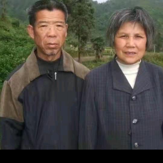 贺奶奶