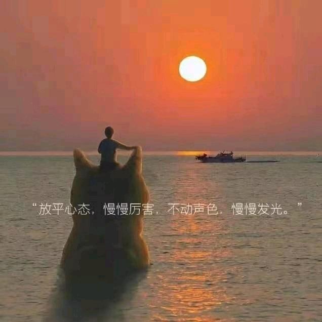 野.