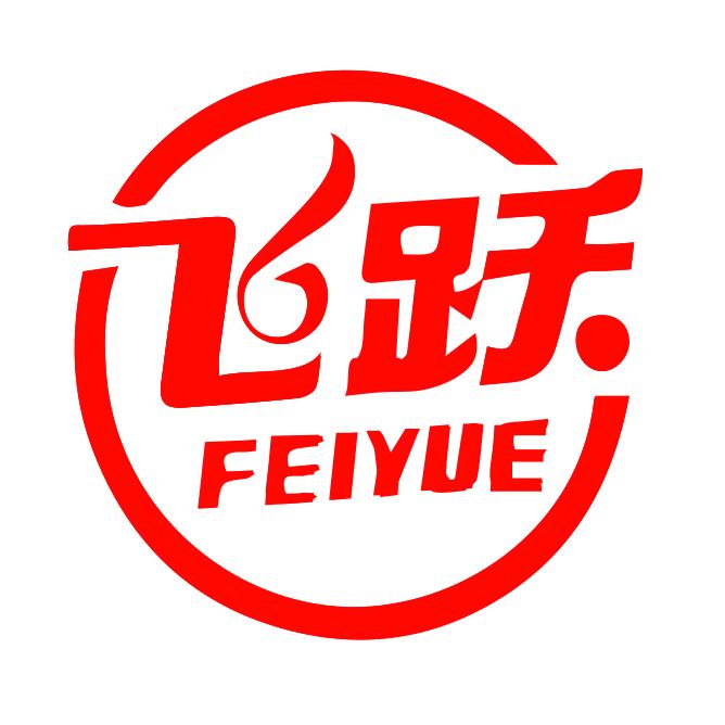 飞跃官方旗舰店