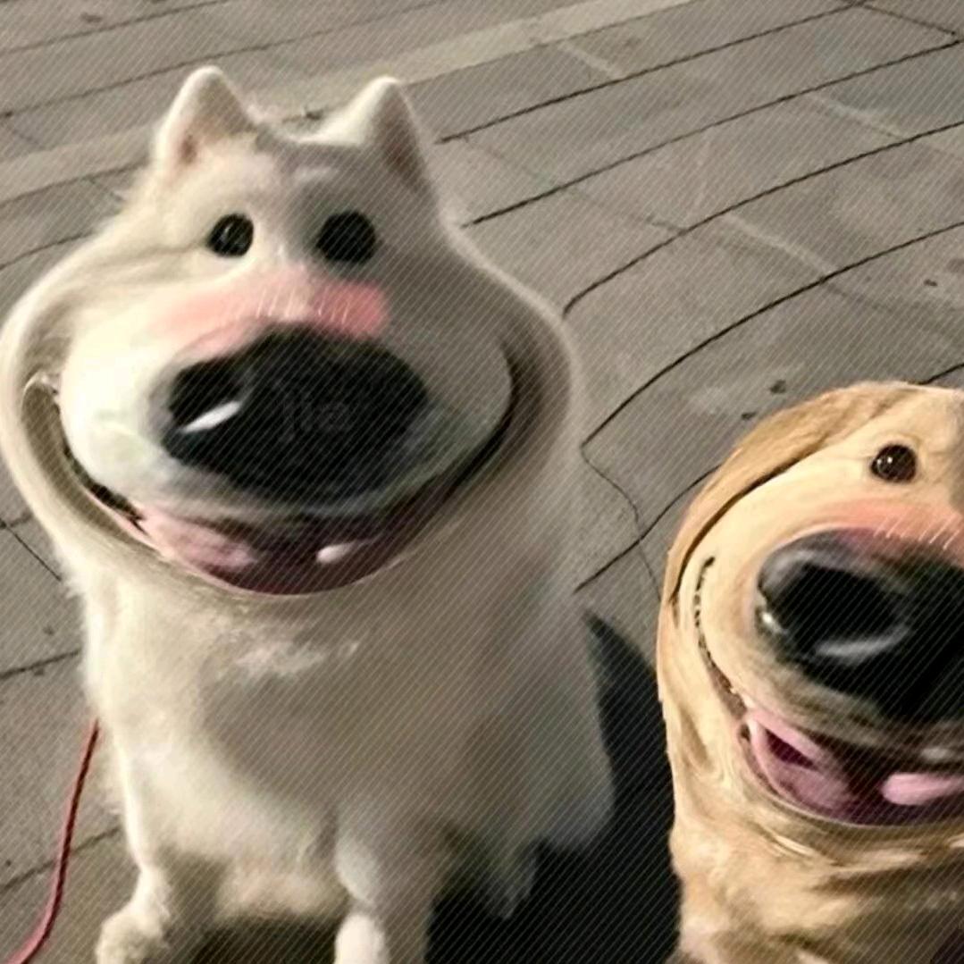 酒酒