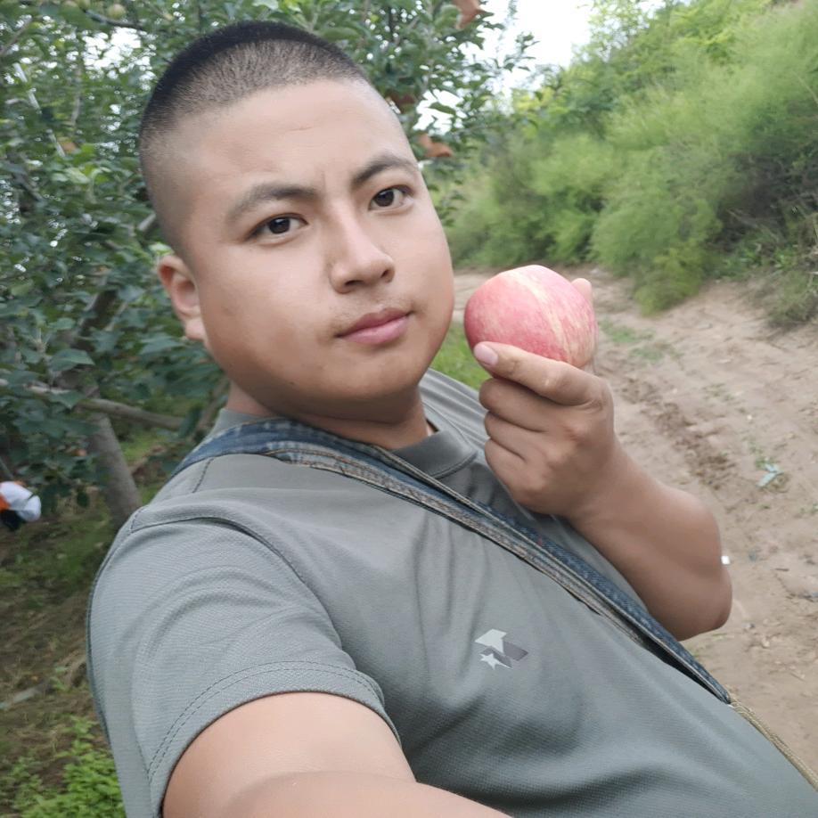 白水果雄农事-辰汁果