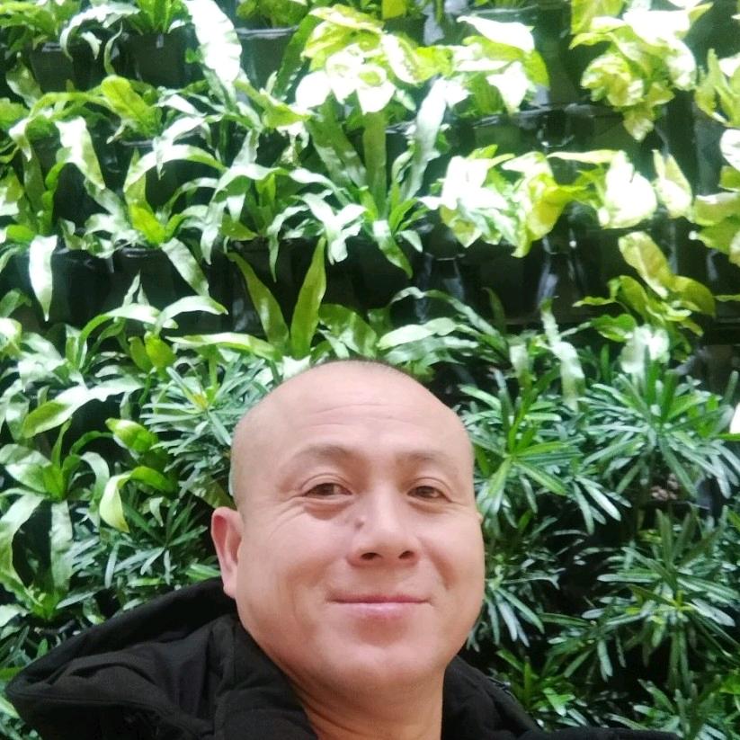 老绵羊
