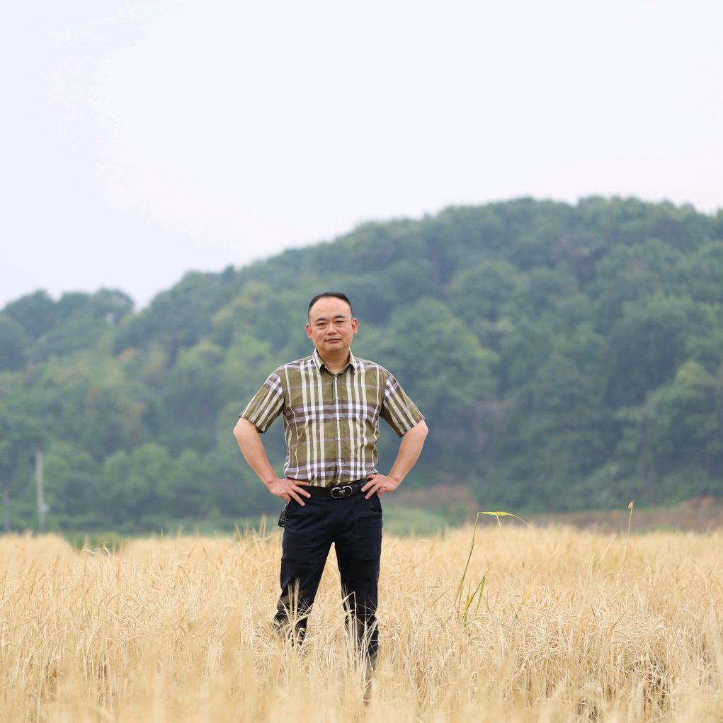 湖八珍鸡煲官方号