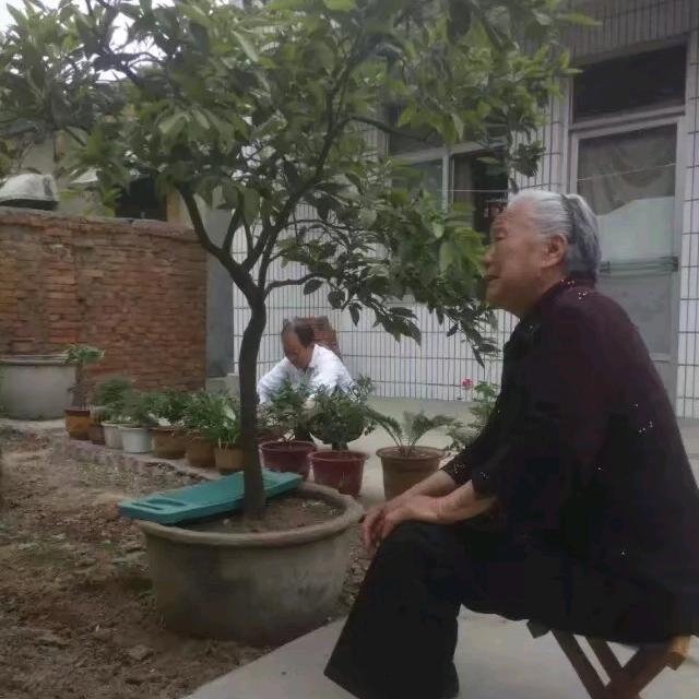 度舟……