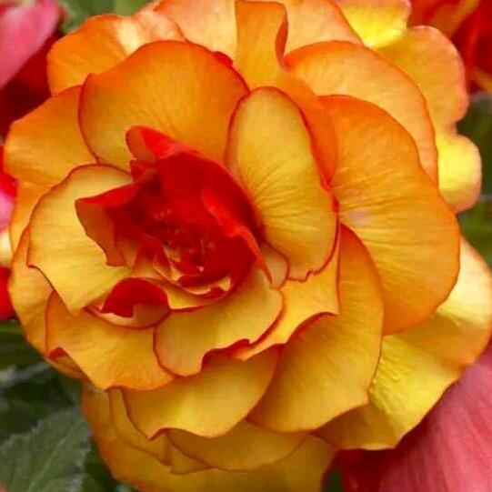 用户6015187504027知足常乐