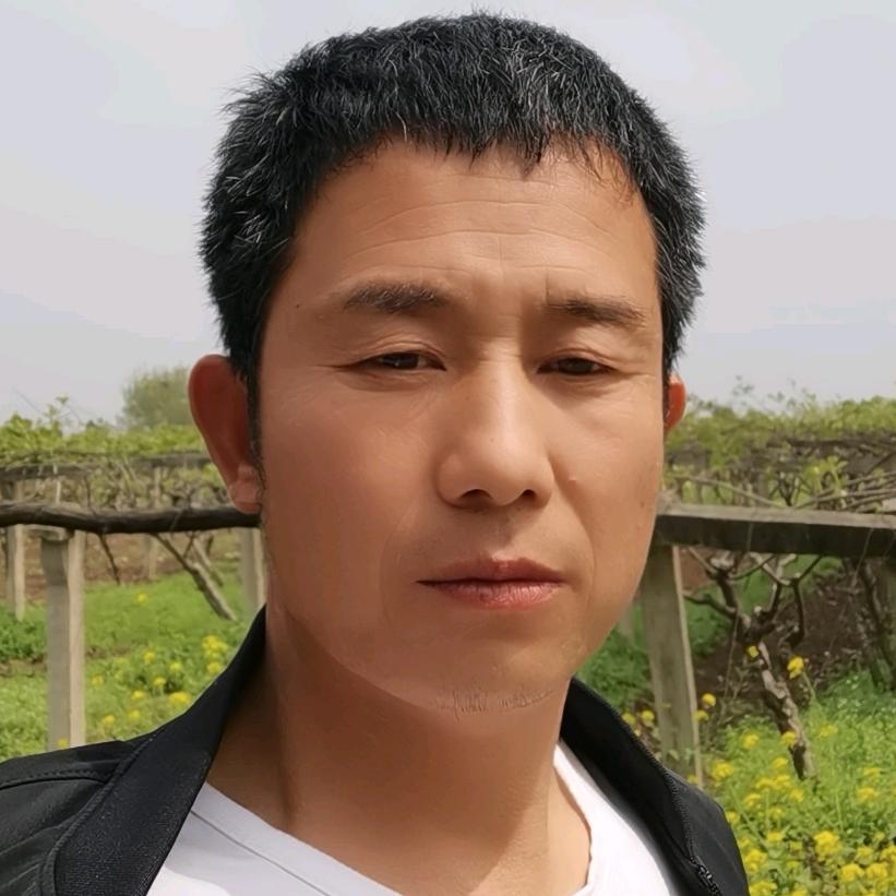 周至     酵素   猕猴桃