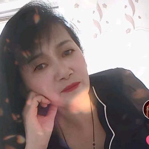 杨三姐(晚上八点十分首播)