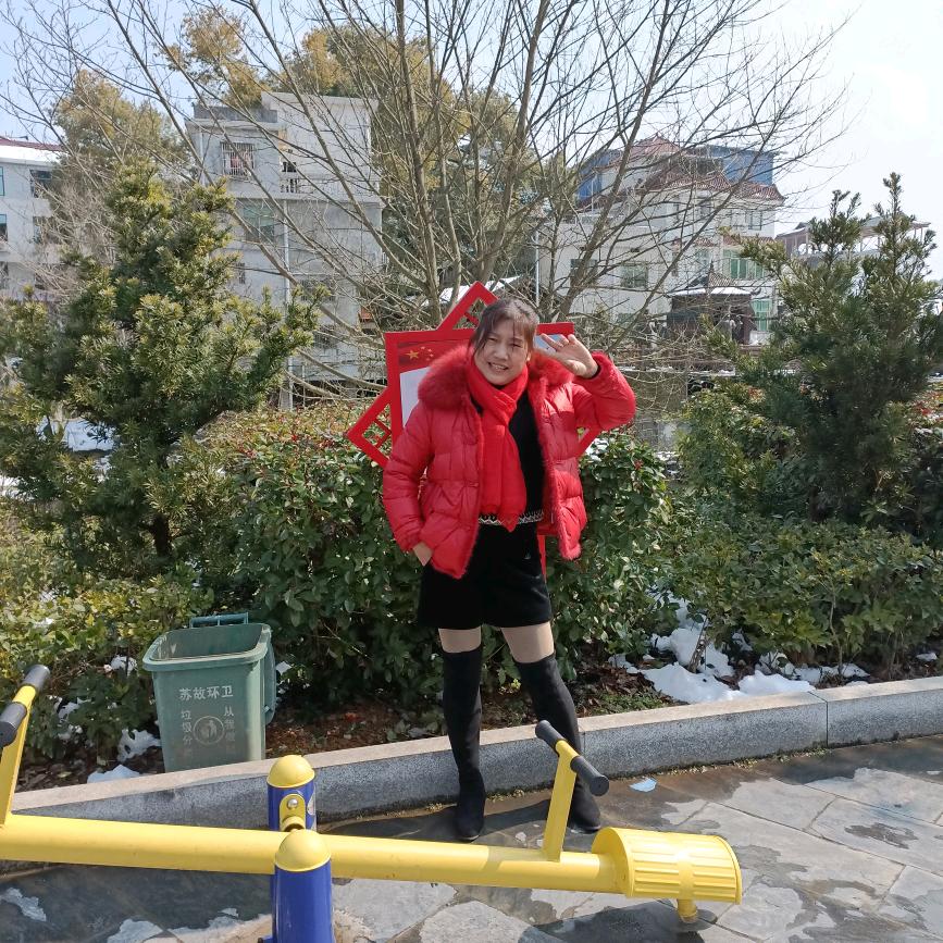 程林绿化专业种殖户