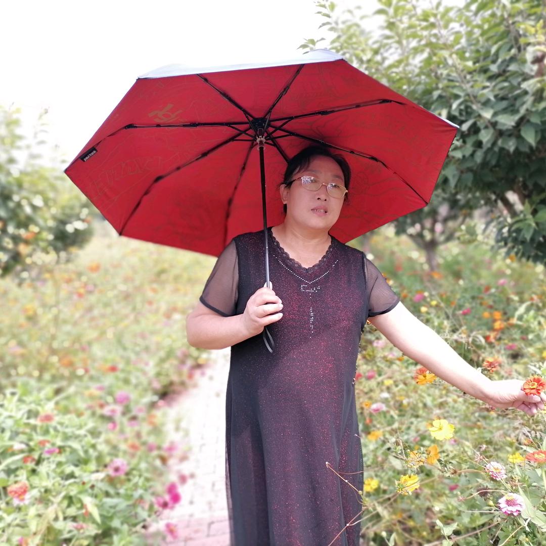创业号 阳阳妈