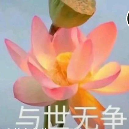 花开富贵🌸🌸