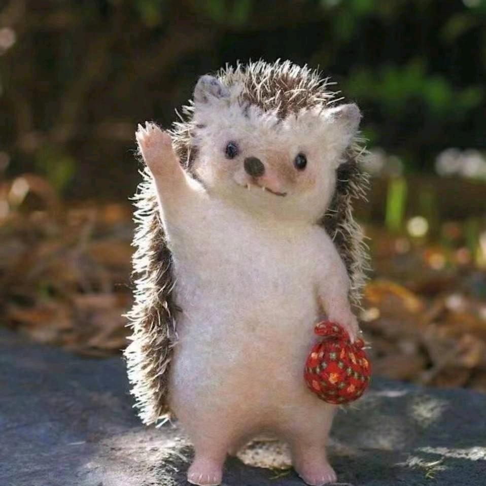 🌈🌈🌈惊蛰、