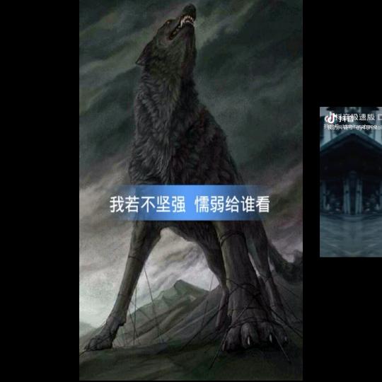 天心月圆