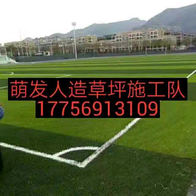 萌发人造草坪施工队