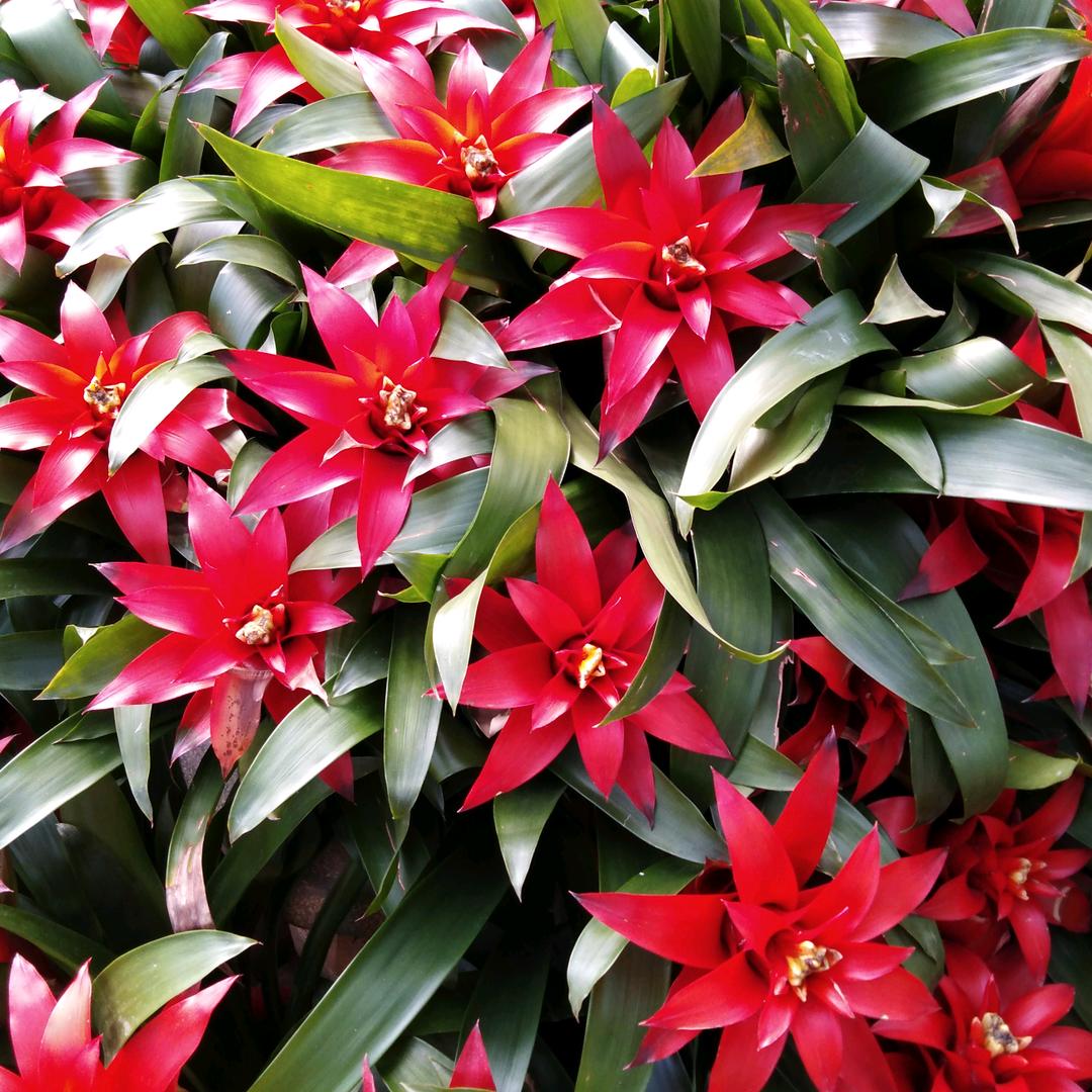 秀的你二虎八道