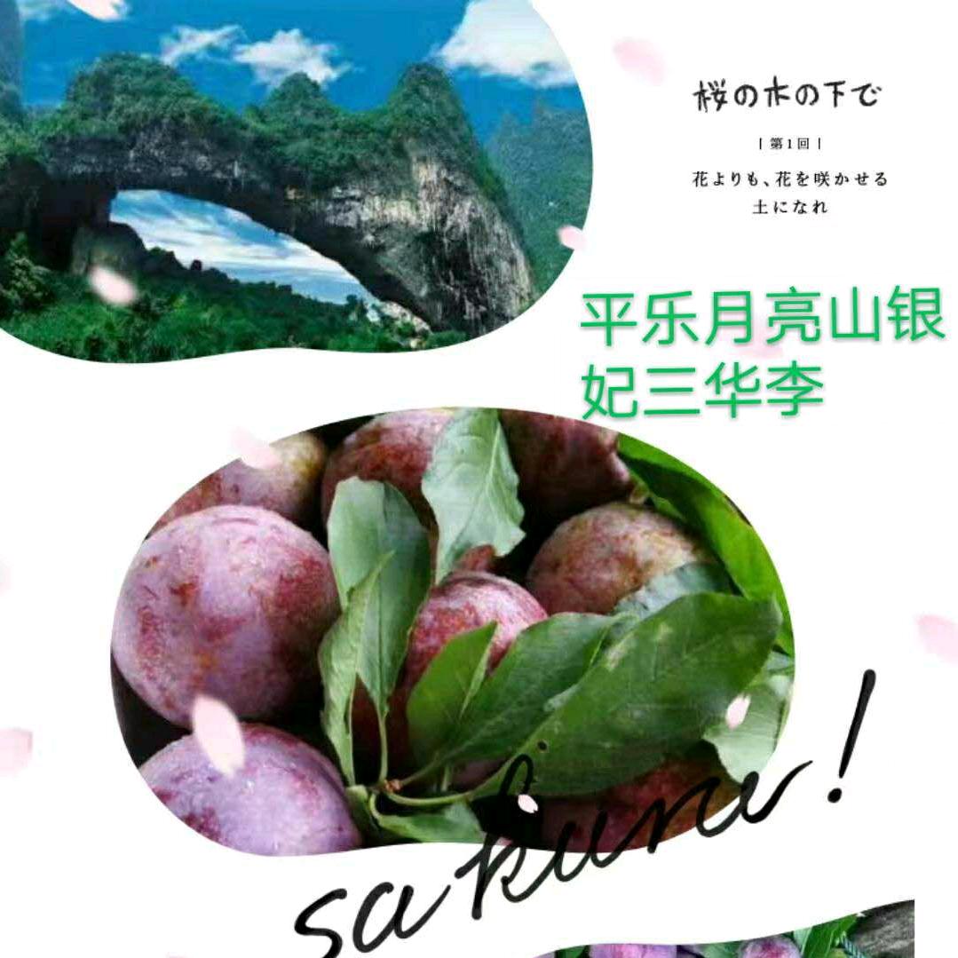 永远志在四方
