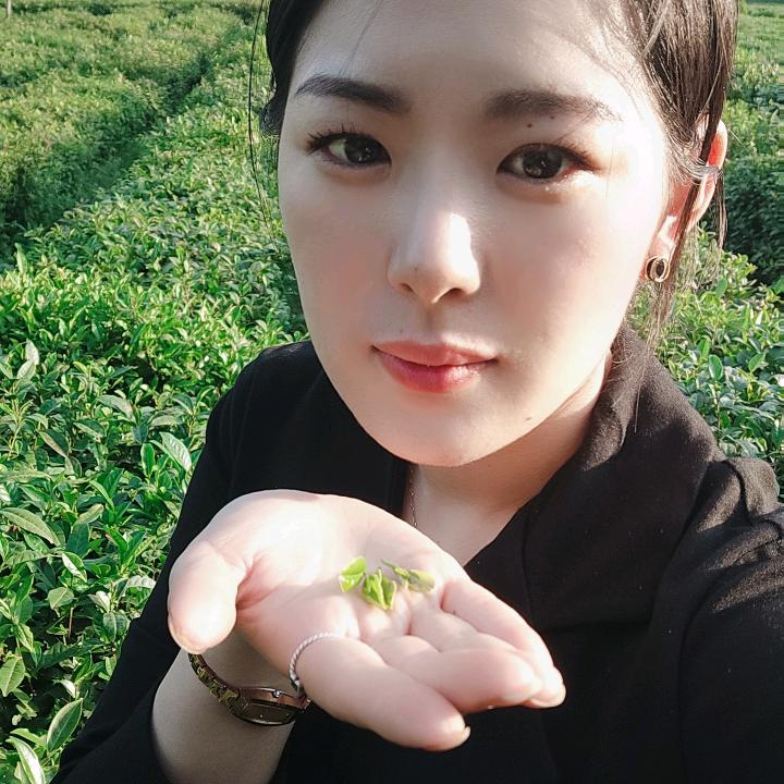 珊珊来迟