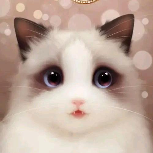 小凶猫手工