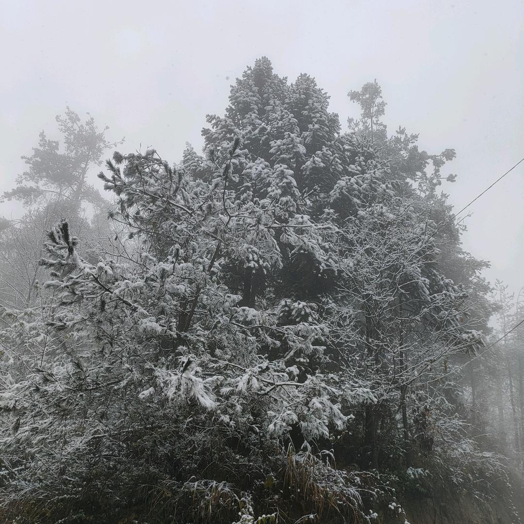 给你夏天般的温暖