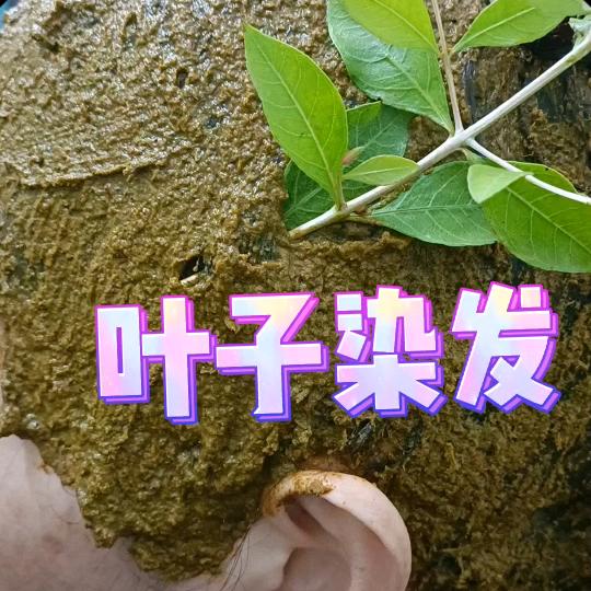 东东摘指甲叶染发