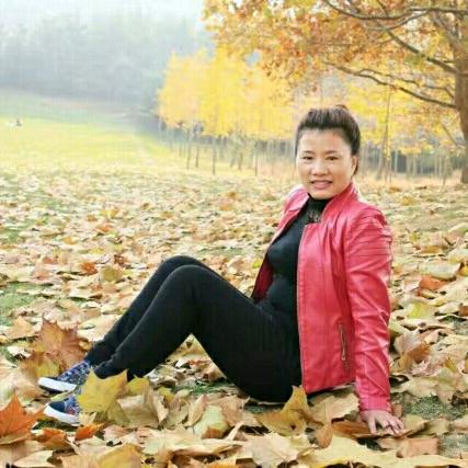 头菜白菜都是菜