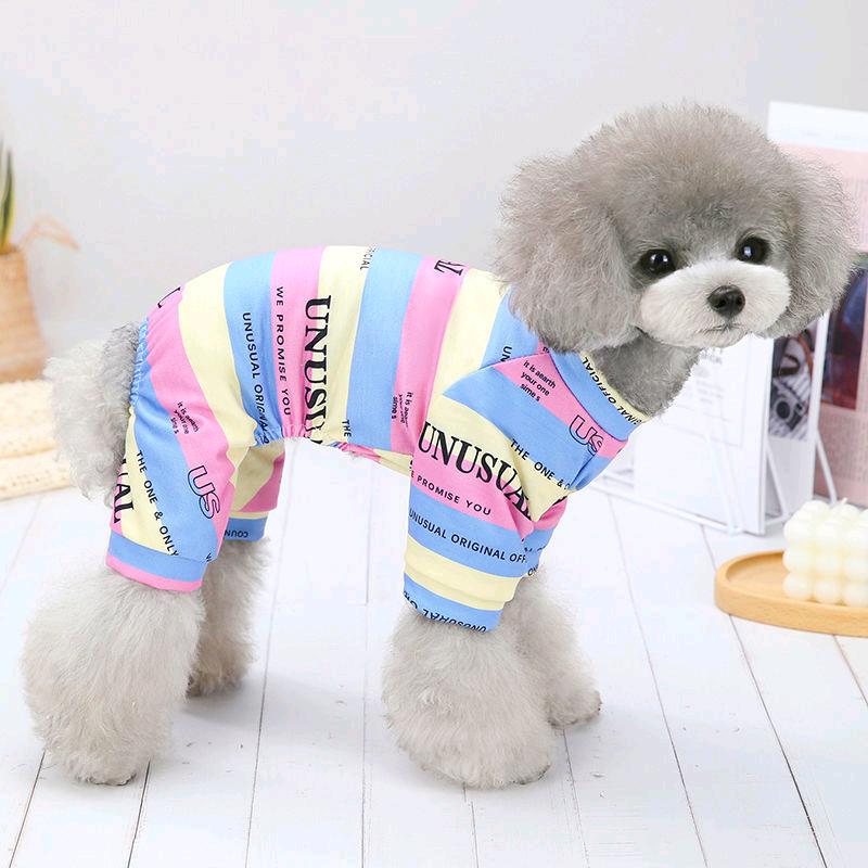 福音宠物服装