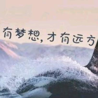 岁月日记