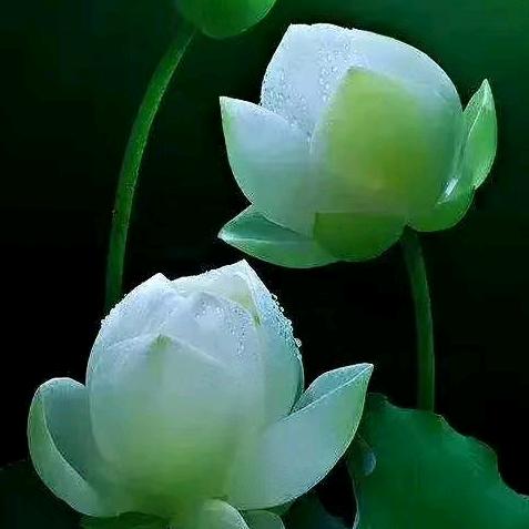 海阔🌷天空