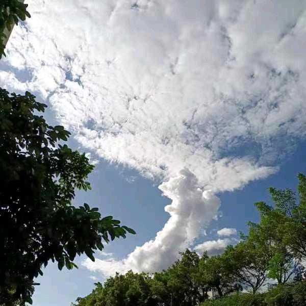 鸿兴达压铸静电工艺