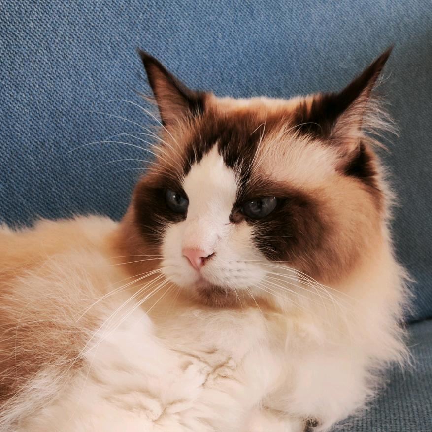 一本正经瞎三话四