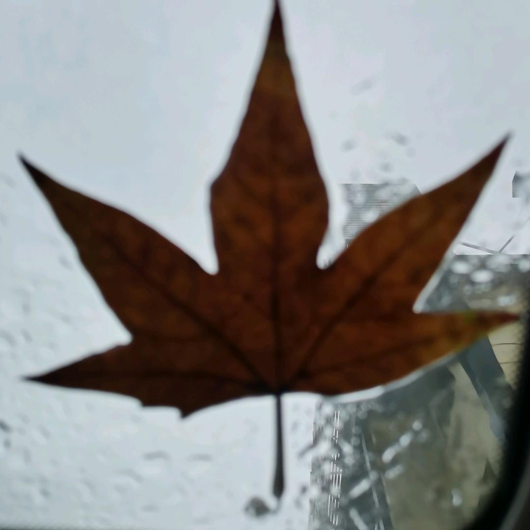 唐锦秋