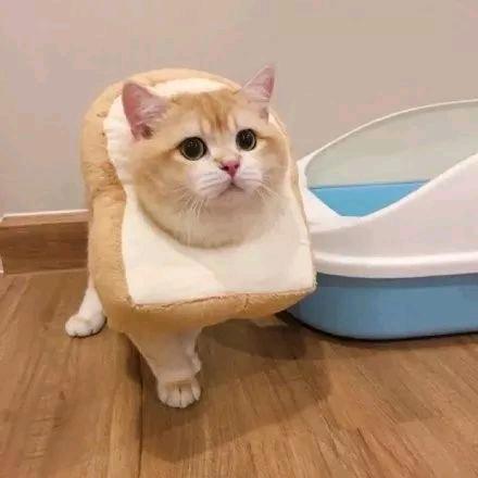 婷婷悦食小记