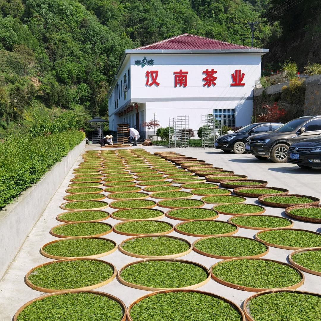 中国紫阳富硒茶
