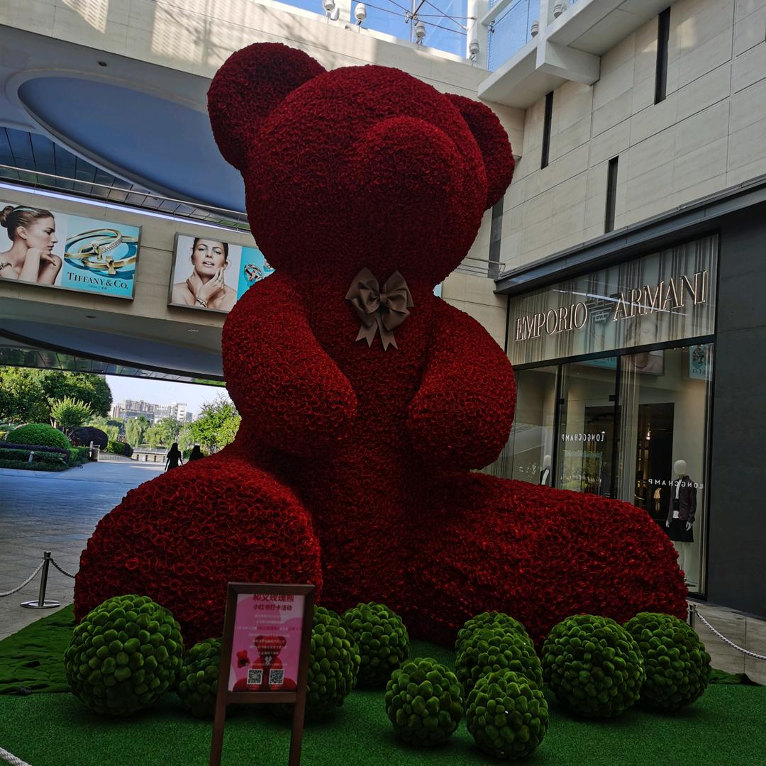 小小树