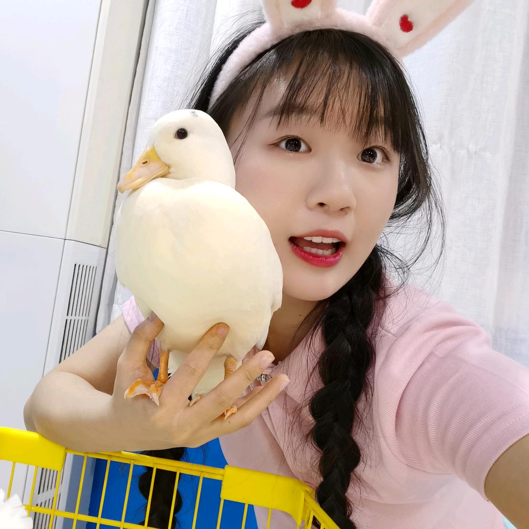 小蛋黄是只鸭鸭