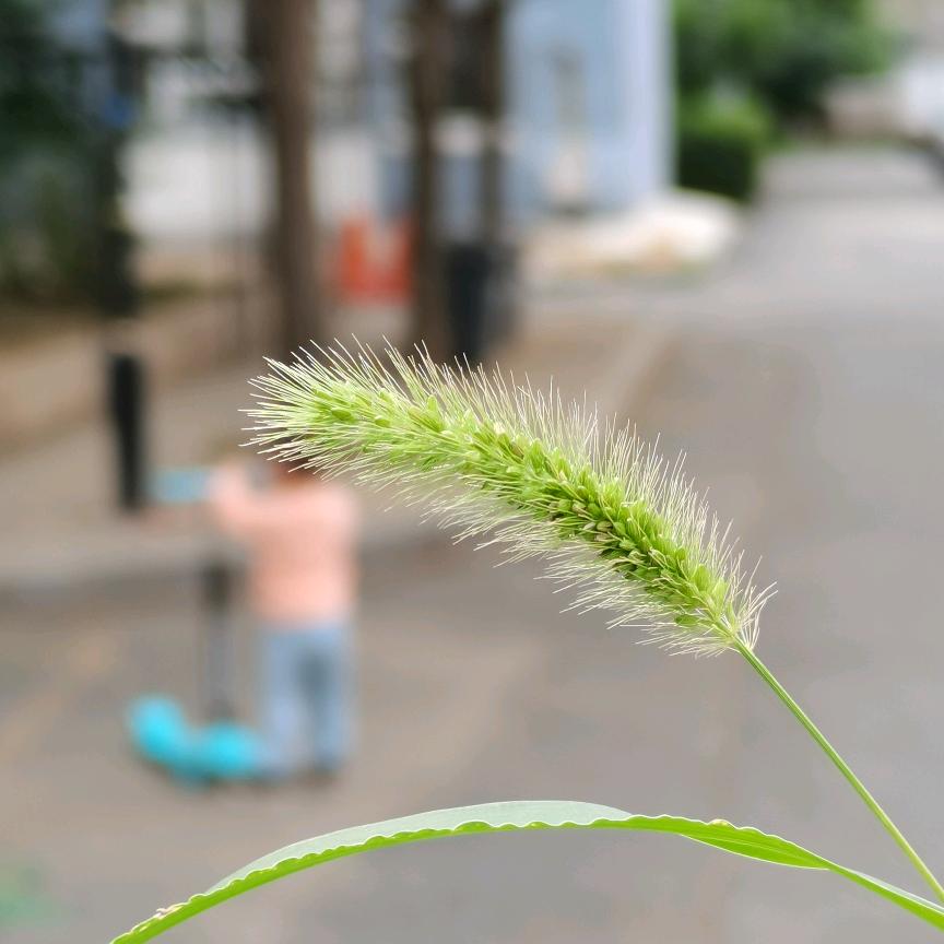 娇～