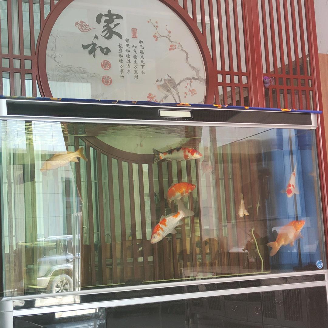 立名五金户外优品