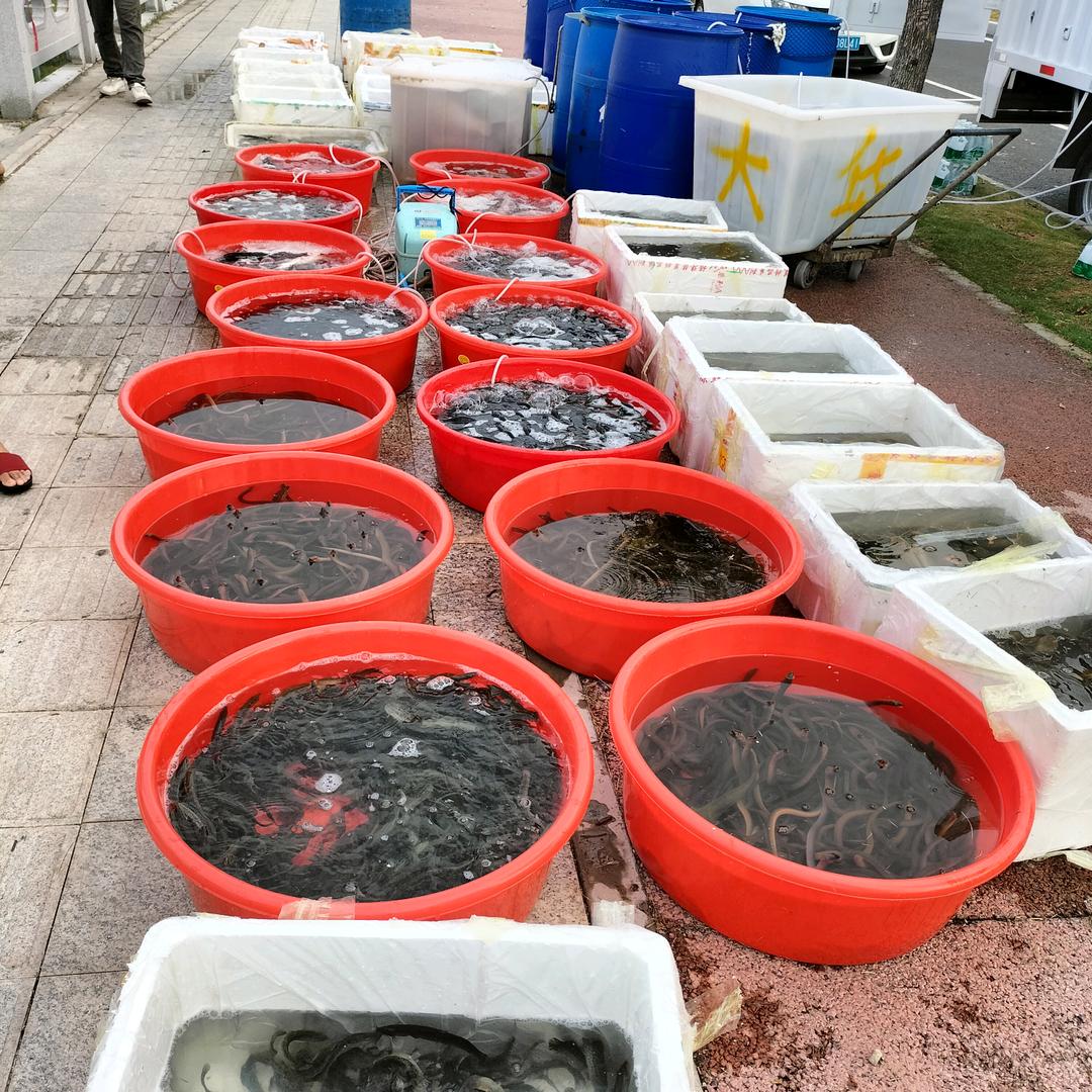 阿雄水产放生配送