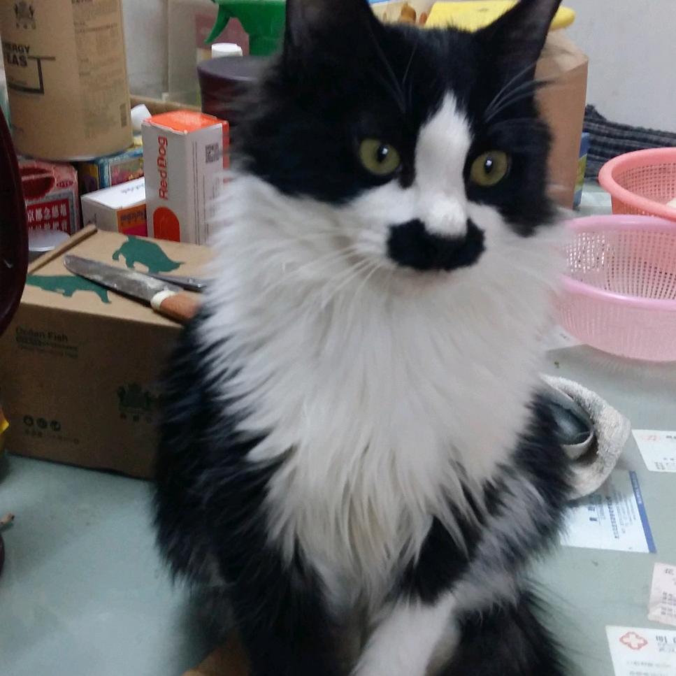 李久点