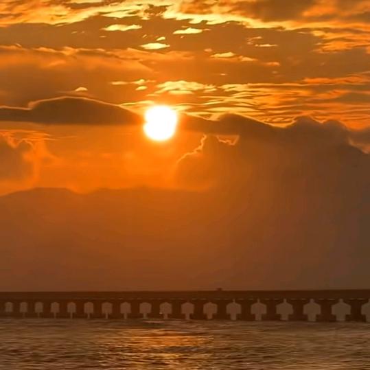 玫瑰花，拒私聊