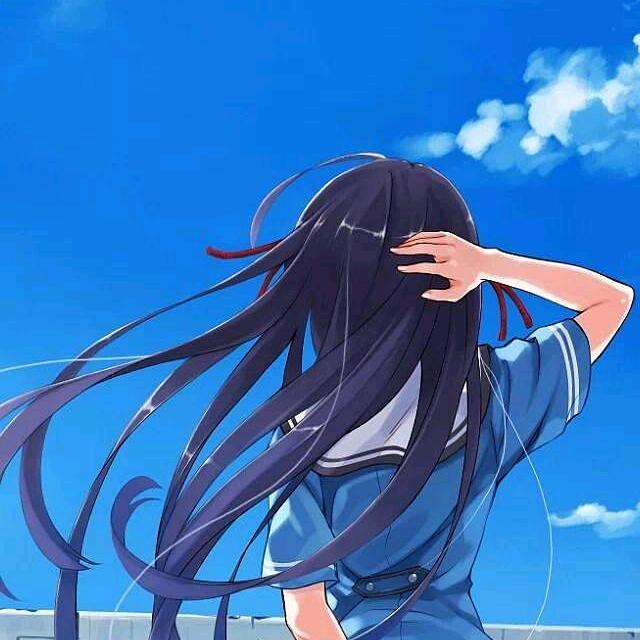 毛毛