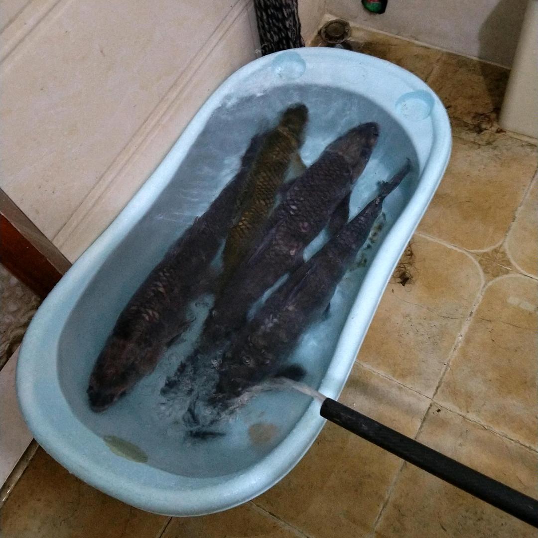 。。