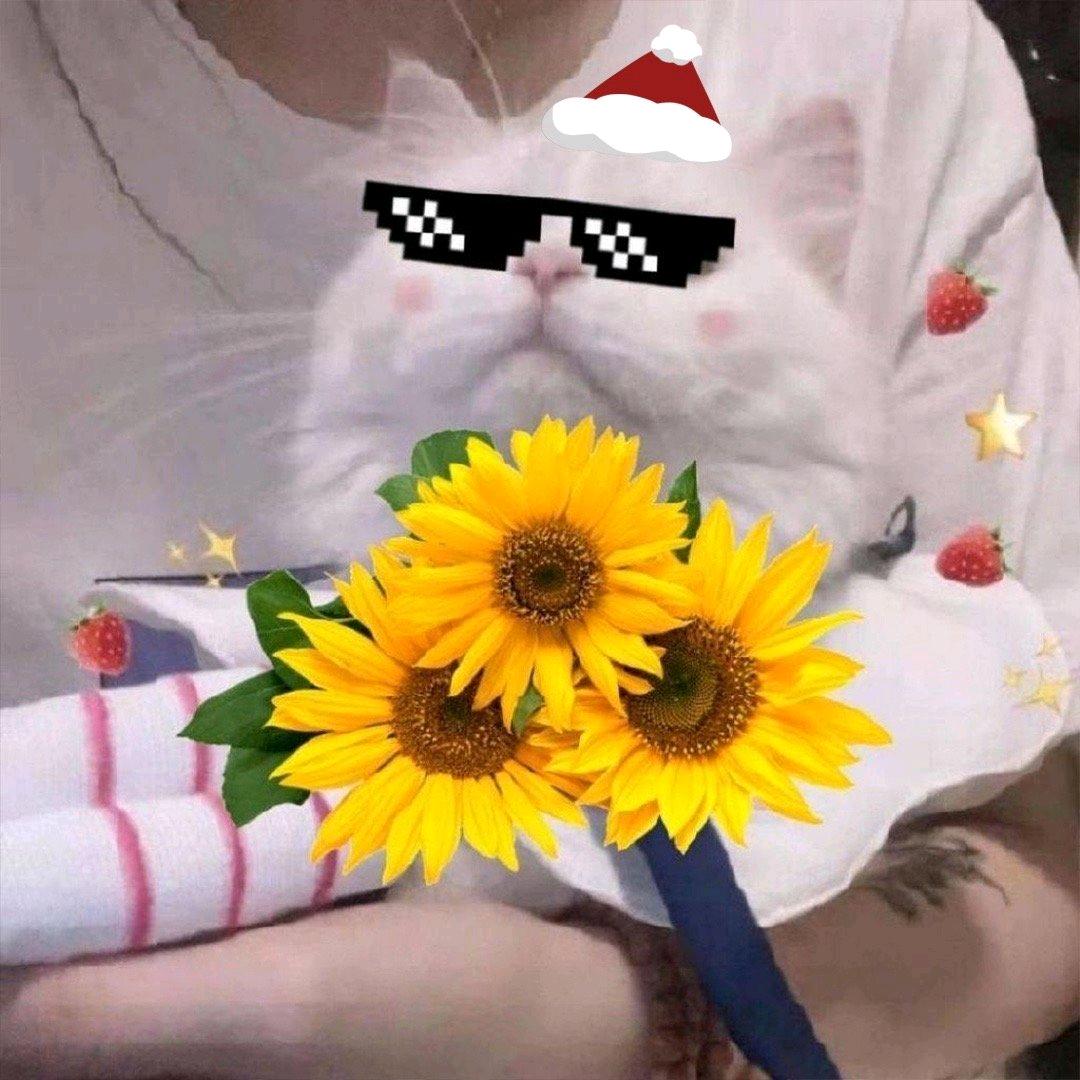 苹果肖肖樂