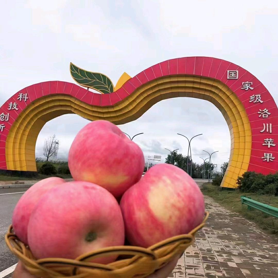 果乡万元户