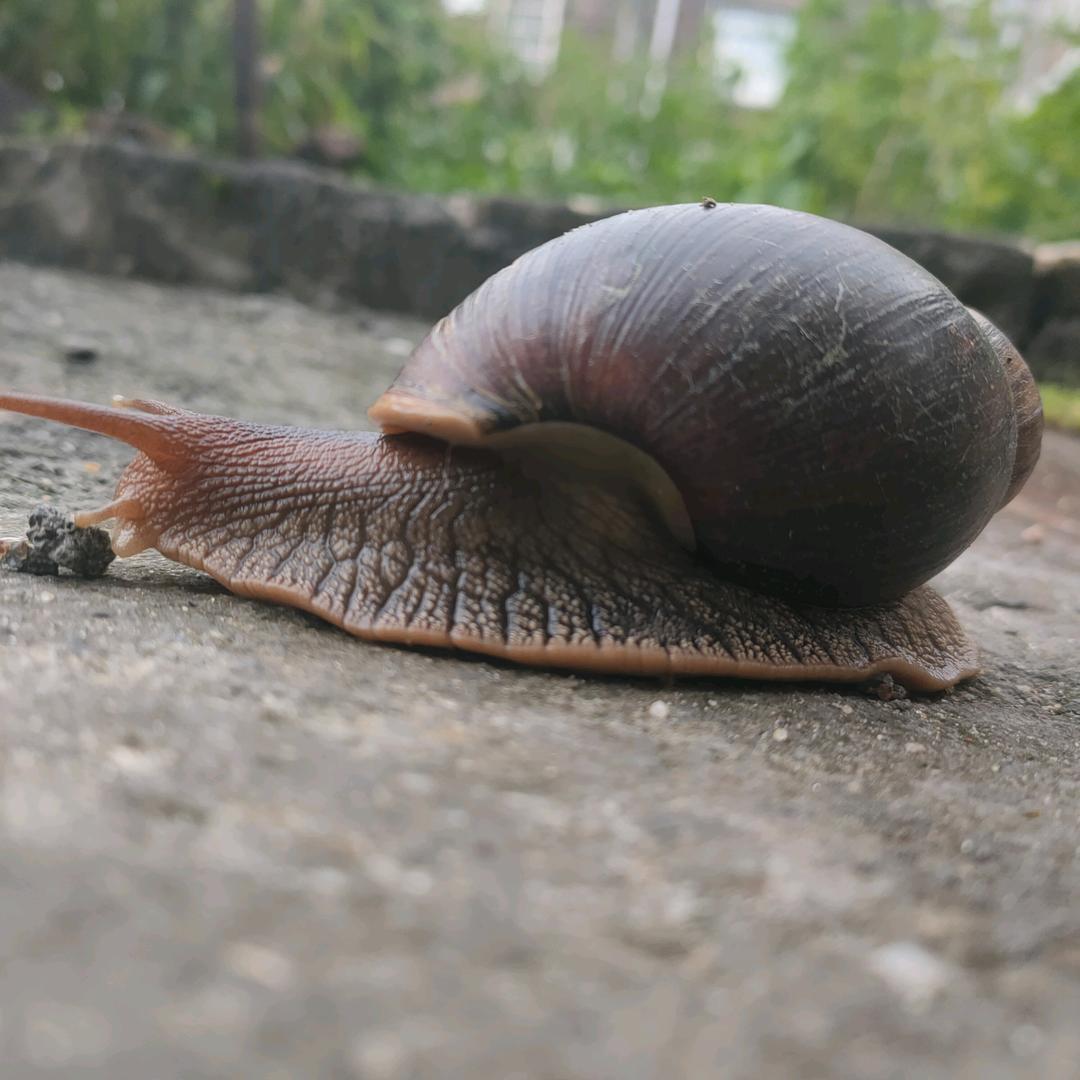 笑笑而已