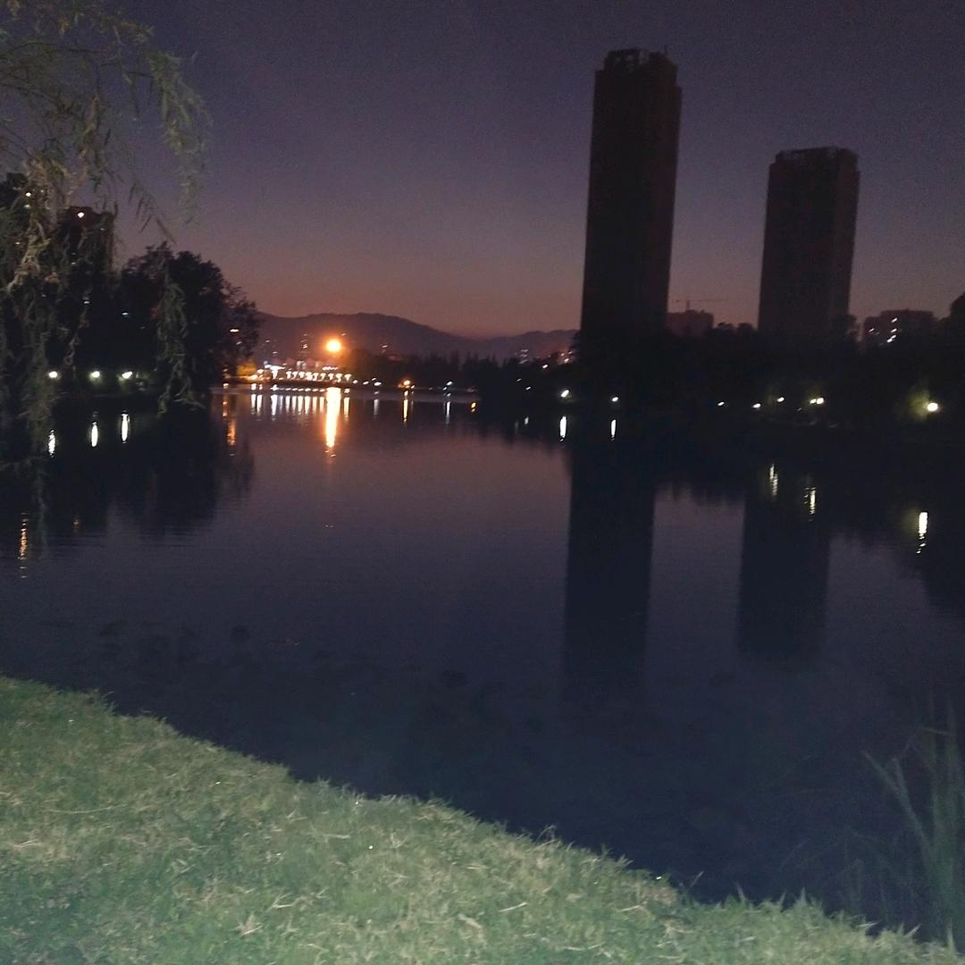 秋秋