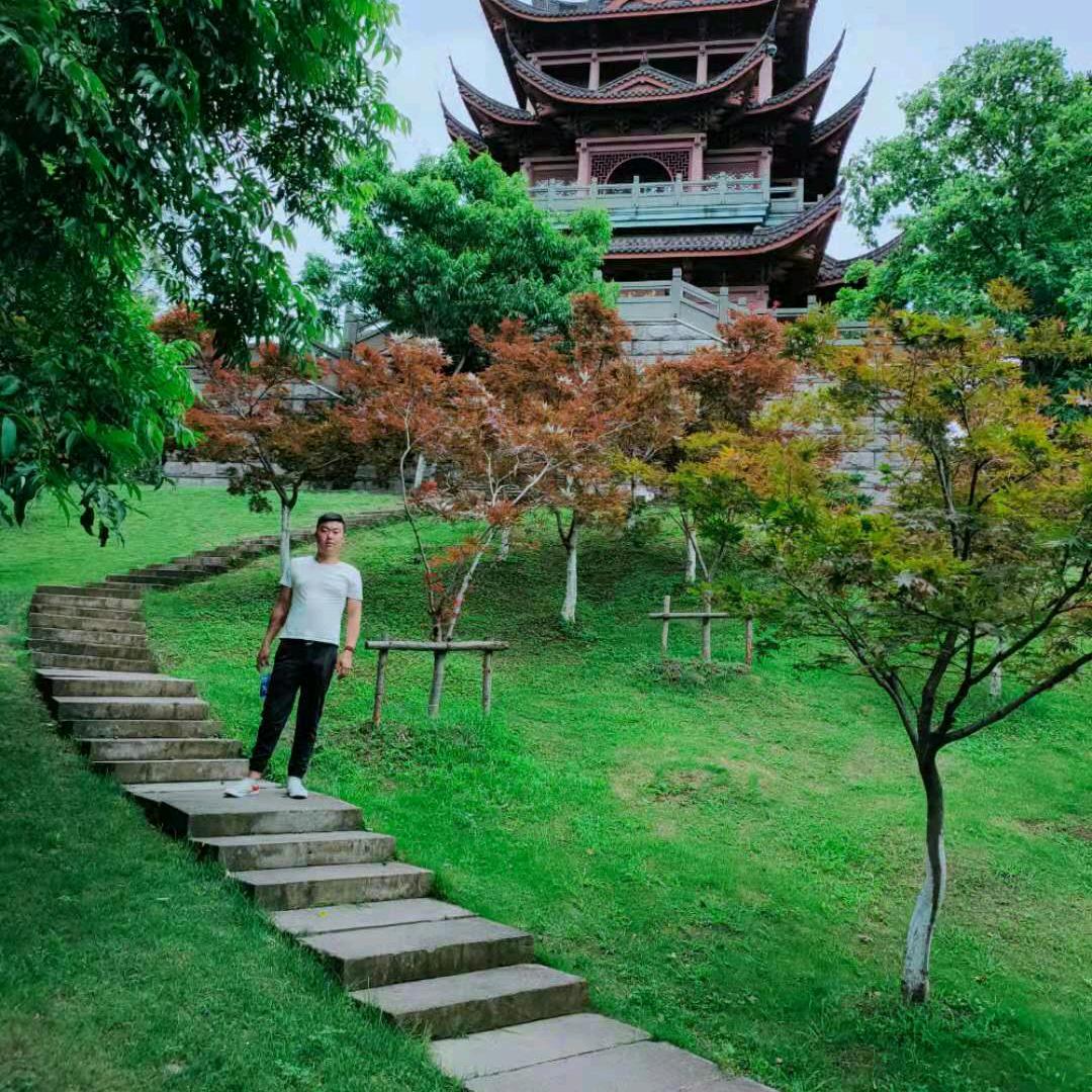 应林牛尔哥