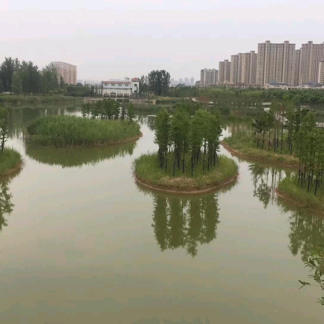 咖啡哥上海