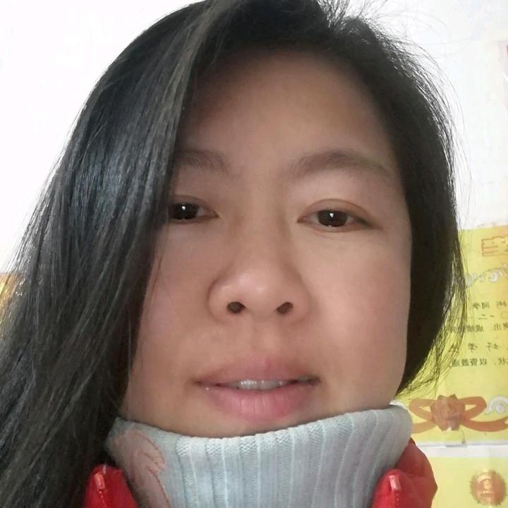 风中的雨燕