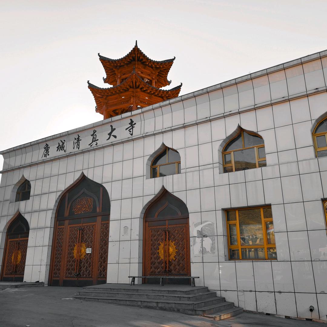 世界这么黑老子该信谁